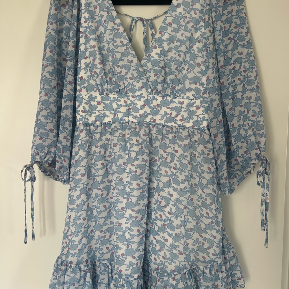Floral Blue and White Dress
